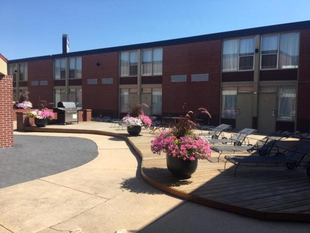 Boarders Inn & Suites By Cobblestone Hotels - Grand Island Exteriör bild
